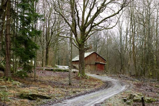 Johannes Larsson Torparsonen som blev timmerhandlare och den förste i släkten att äga Eklanda Ryttaregård Skrivet av Christer Gustavii Johannes Larsson föddes den 31 mars 1801 på torpet Blomanskog