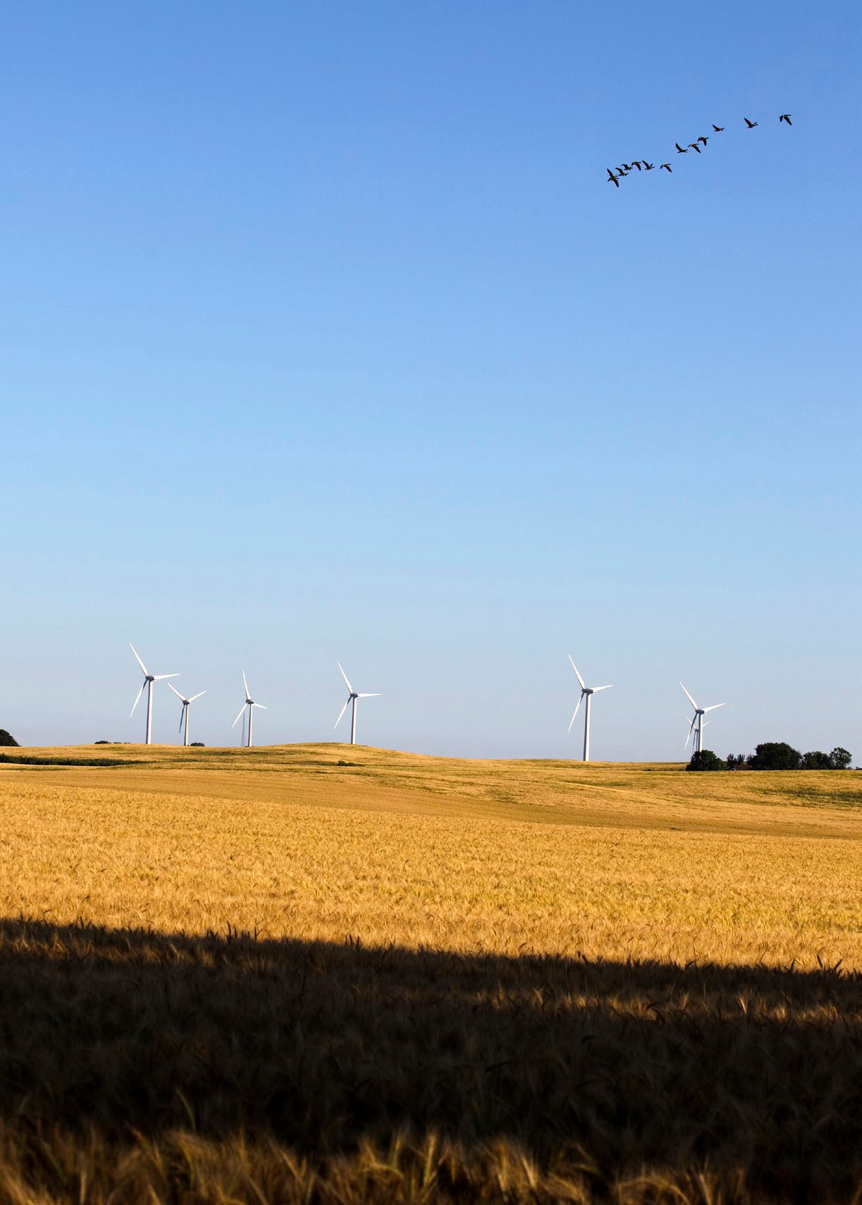 INSTITUTIONEN FÖR TEKNIK OCH SAMHÄLLE MILJÖ- OCH ENERGISYSTEM WWW.MILJO.LTH.