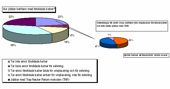 Förvildade katter 58 % av katthemmen tar emot förvildade katter enbart för omplacering, inte för avlivning och/eller jobbar med Trap Neuter Return metoden (TNR).