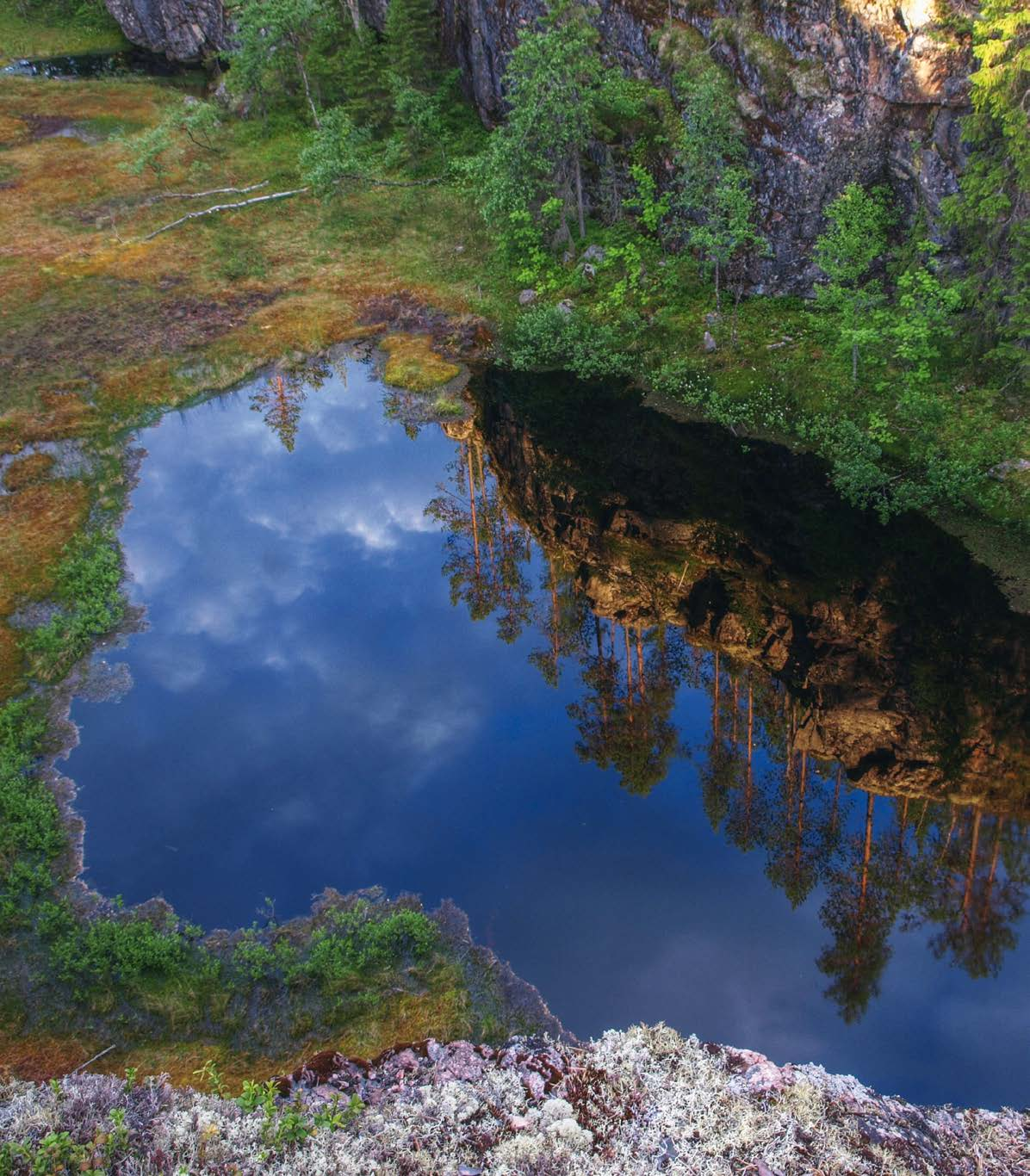 Forststyrelsens naturtjänster