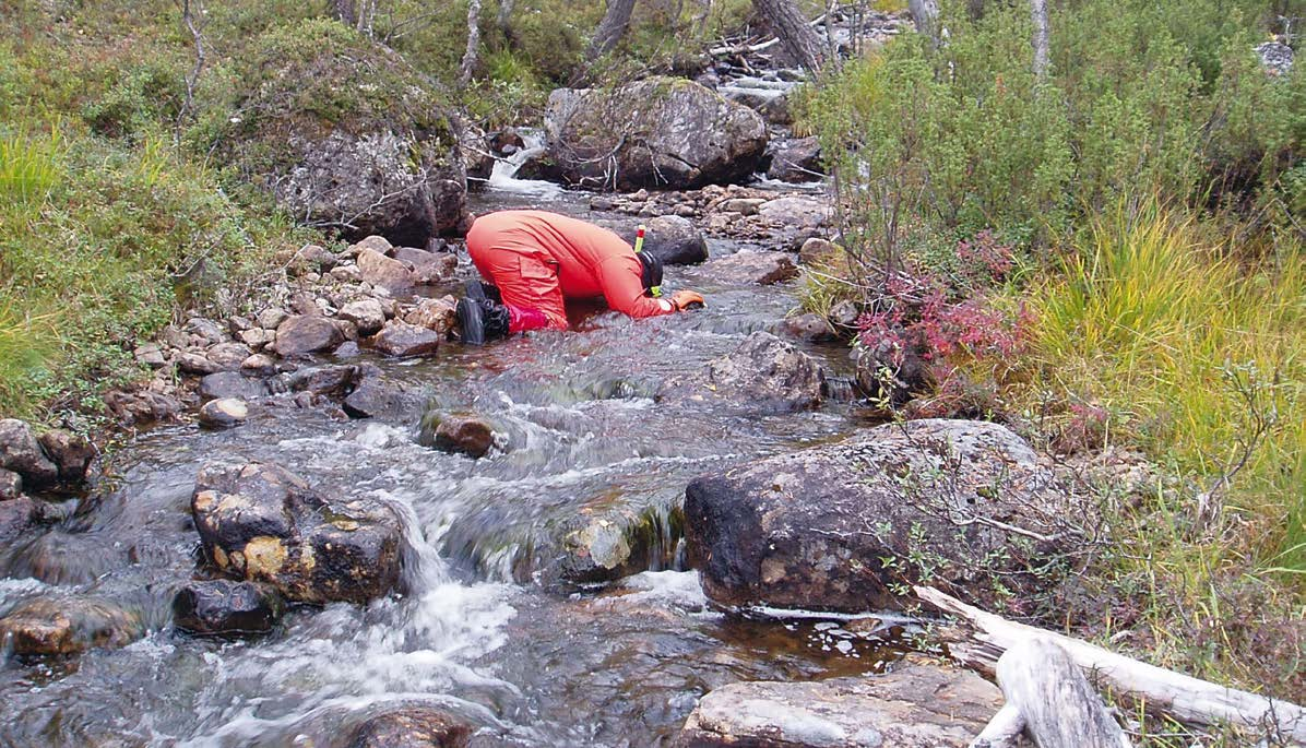 Artskydd och naturvård som arbete och livsstil Forststyrelsens naturtjänster kartlägger värdefulla arters livsmiljöer i skogar och traditionslandskap, på fjäll och under vattenytan.