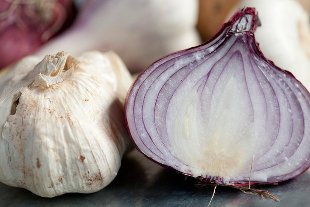 dock oklart. Djurförsök har visat att när man transplanterar tarmflora från en stressad mus till en som från början var lugn blir den senare också stressad och orolig.