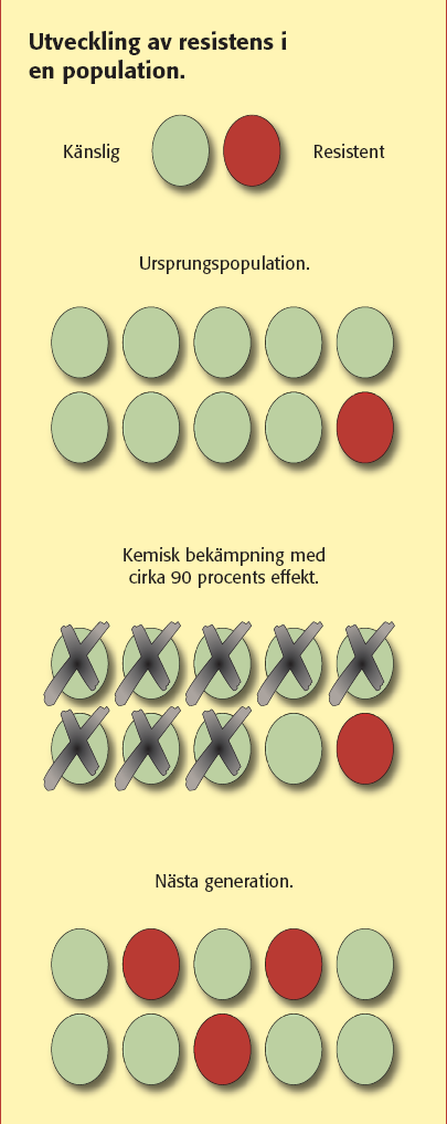 Hur uppstår resistens?