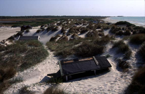 Låglänt landskap Skanör-Falsterbo strandäng Åhus dynlandskap Kustslätt / dynlandskap Vombsjösänkan Låglänt dallandskap