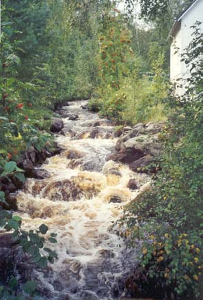 6.1 Gopån, uppströms Lingan ARO: Hamrångeån Ockelbo NO FVO Foto 6.1.. Typbild, rensad sträcka i Gopån, uppströms Idafors. Inv. sträcka, -8-3.