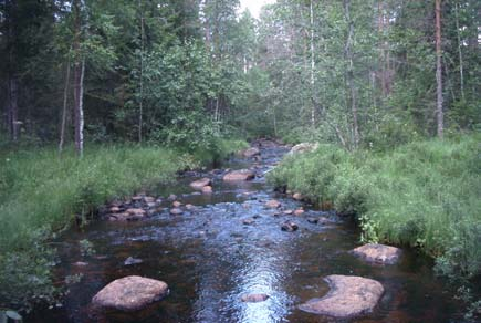 8.1 Tansbäcken ARO: Gavleån Ulvsta / Jädraås FVO Vattenvegetation Det längdviktade medelvärdet för åns vattenvegetation hamnar på 1,7 (Figur 8.1.4).