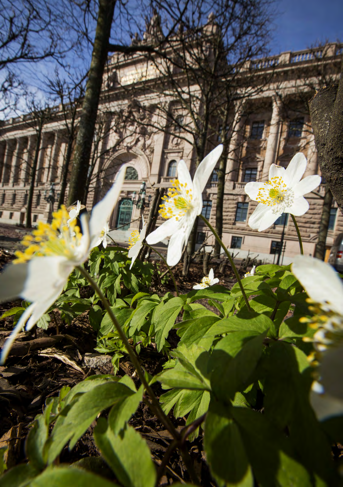 Riksdagens utskott sammanträder i Östra riksdagshuset, som byggdes