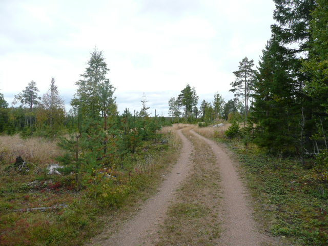 Föräljningobjekt Norra kiftet av Haparanda Nikkala 57:3 Arealer Enligt ätning på kogkarta Totalt 127,3 ha Skog 107,6 ha Ipedient 16 ha Övrigt: 3,7 ha Del av Haparanda Nikkala 57:3 Taxeringvärde