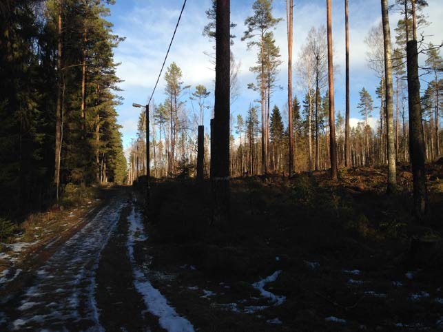 Frågeställningar kring de tätortsnära skogarna Vilka är våra prioriterade områden?