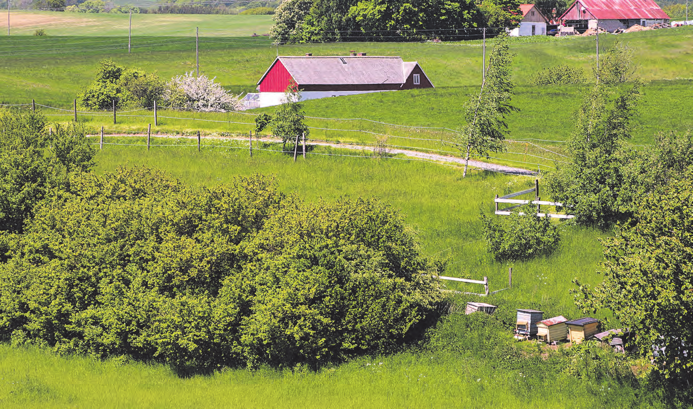 Strategi 2020 Ekologiskt skapar möjligheter BILD: KRISTOFER VAMLING/HK BILD&TEXT Lantmännen behöver en genomgripande ekostrategi, det påpekade Östergötlands distrikt i en motion till Föreningsstämman