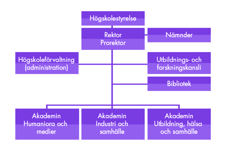 4 Organisation Ca 750 personer arbetade 2015 på Högskolan Dalarna, fördelat på campus i Borlänge respektive Falun. Verksamheten är från 1 april 2016 organiserad enligt bild nedan.