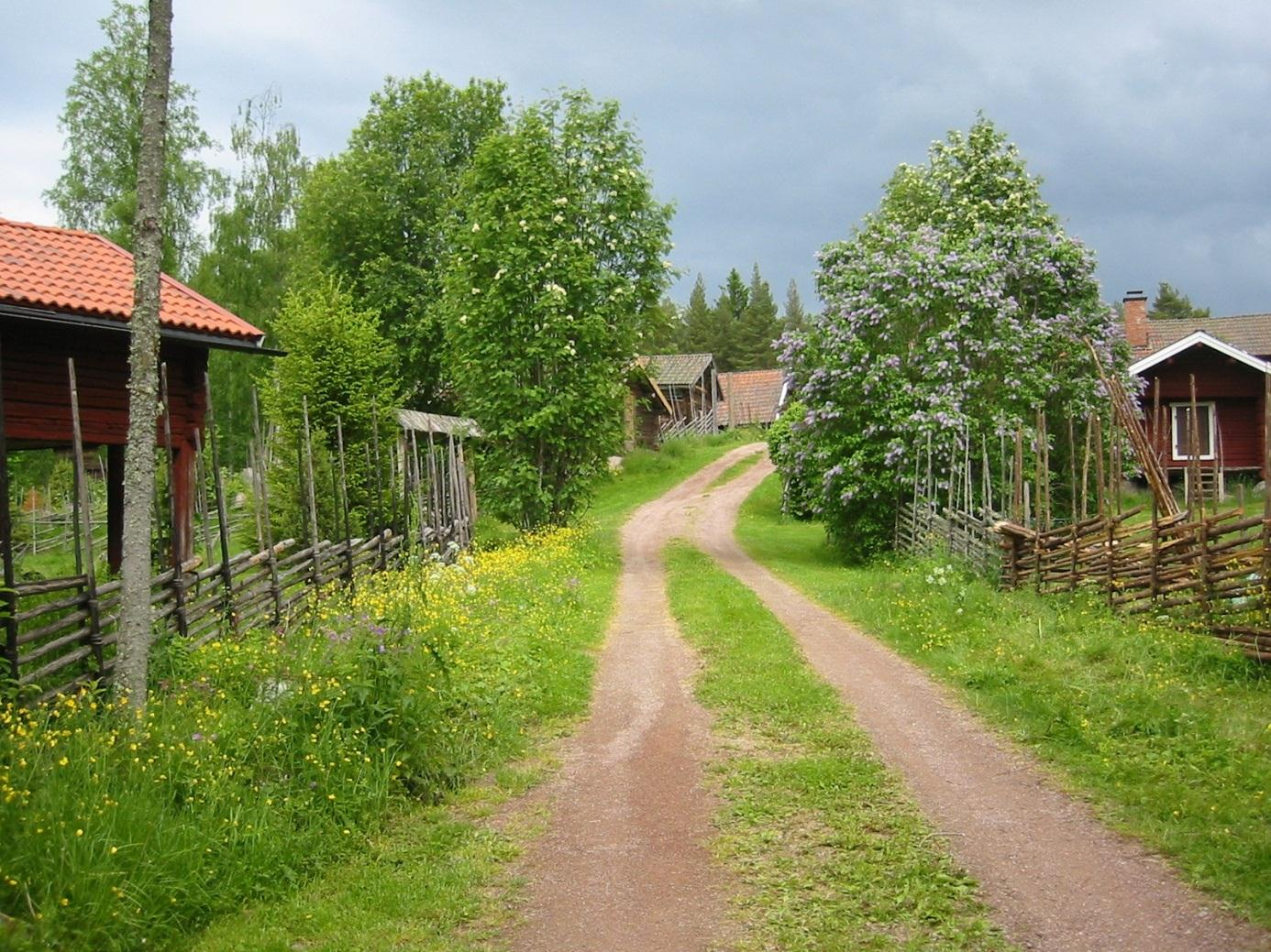 Energianvändningen har minskat med 25 % i alla sektorer, utom processindustrin där en effektivisering om 20 % antas rimlig. Utsläppen av växthusgaser har minskat med över 20 % totalt.