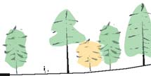Detaljplaneprogram Programområdets förutsättningar Natur och rekreation Programområdet används för lek och annan rekreation och utgörs av en mindre skog samt av en lekplats närmast Poppelvägen och en