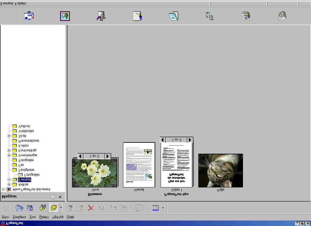 Använda ScanSoft PaperPort och TextBridge OCR ScanSoft PaperPort för Brother är ett dokumenthanteringsprogram. Du använder PaperPort för att visa skannade originaldokument.