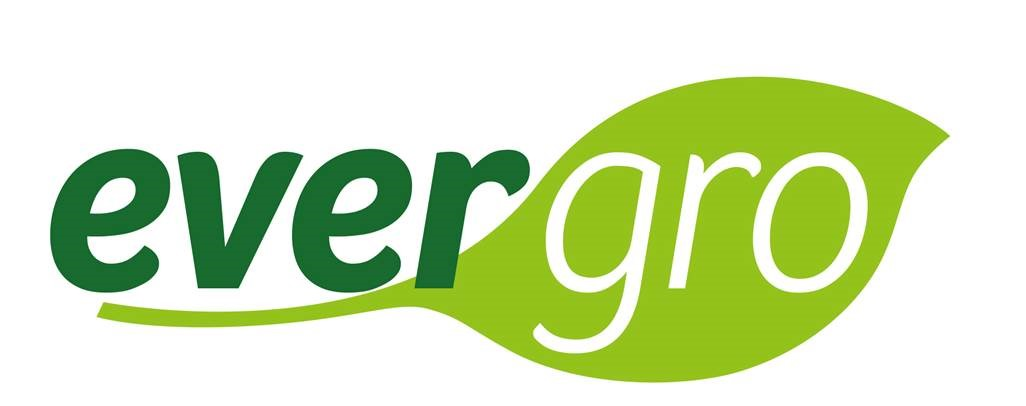 Figurklass: Beskrivning: 537374 2016/07716 6/10 2017-01-31 Ansökningsdatum: 2016-11-08 05.03.13; 05.03.14. Ljusgrönt Mörkgrönt Vitt S-Invest Trading Aktiebolag, Box 116, 435 23 Mölnlycke, Sverige.