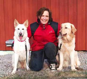 Nya ansikten i styrelsen Ingmarie Axelsson Jill Adolfsson Ledamot Ingemarie Axelsson Jag bor på en gård i västra Värmland. Är 45 år, gift, 4 ungar, alla i stort sett utflugna och 1 barnbarn.