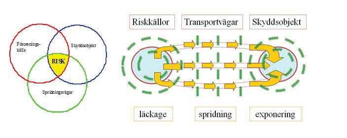 Riskbedömning