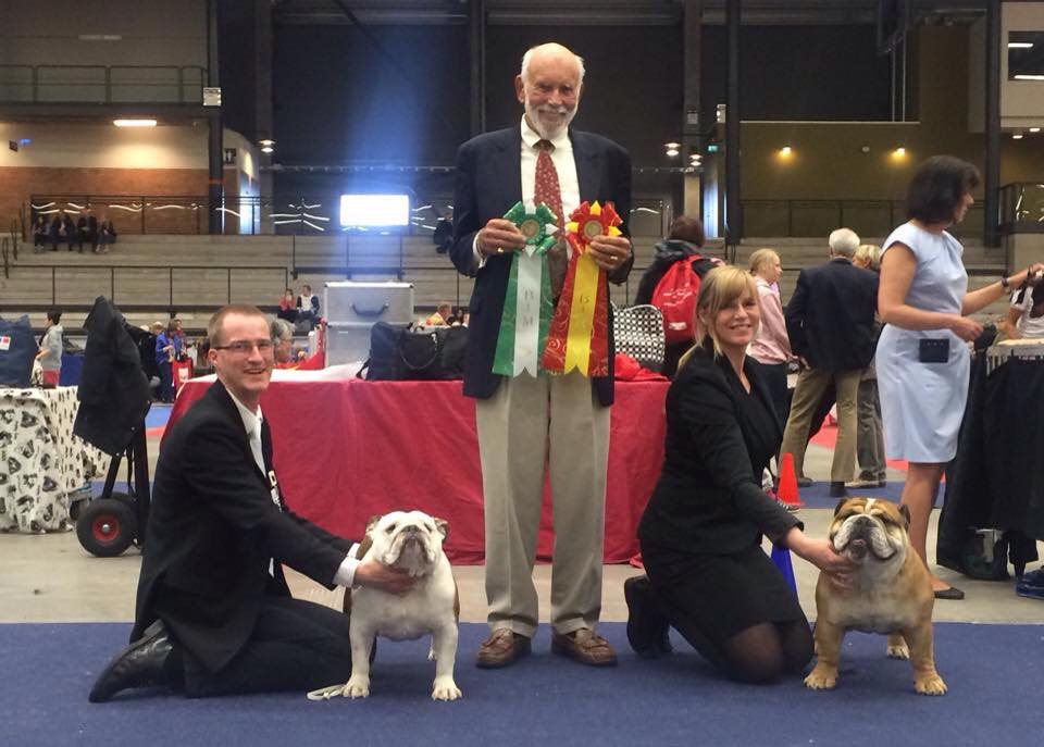 INTERNATIONELL UTSTÄLLNING LIDKÖPING 150502 - domare Thomas Touzel Canada. BIR CERT CACIB - Bullystyle's Glourious Game. Uppfödare Pia Jensen. Ägare Elisabeth Hemmingsen.