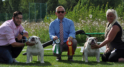 BIR Cert CHAMPION - SV V-14 La Floredita Håkan Hellström. Uppf & Ägare Ewa Bewick.