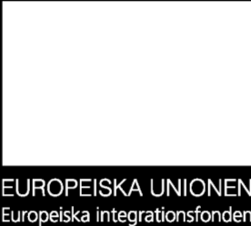 IF-2010-0052 1(8) Stöder integration av medborgare från länder utanför EU Europeiska integrationsfonden Stöder projekt som syftar till att förbättra systemen för mottagning och integration för