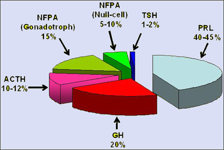 Finelli, P ; Larizza, L Endocrine/neuroendocrine glands: