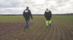 Lena Åsheim och Bengt-Olov Gunnarson i ett handslag för svensk animalieproduktion. Durumveteodling på Gotland.