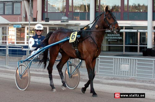 nyhetsbörsen APRIL 2007 070412 Dramatisk debutseger för Evening Star Det var en hel del dramatik inblandat på Solvalla när Evening Star tog karriärens första seger.