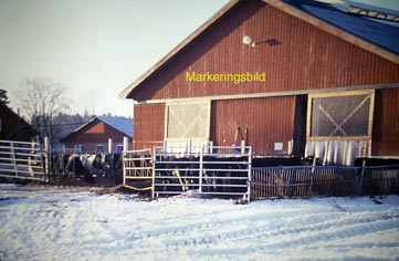 Djupströgödsel till vårsäd höst- och vårspridning av färsk och mellanlagrad gödsel Stall med djupströbädd ger djuren en bra miljö och goda möjligheter till ett naturligt beteende.