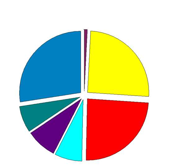 Fördelning kostnader 2006 utfall Personalkostnader 1% Räntekostnader och liknande resultatposter