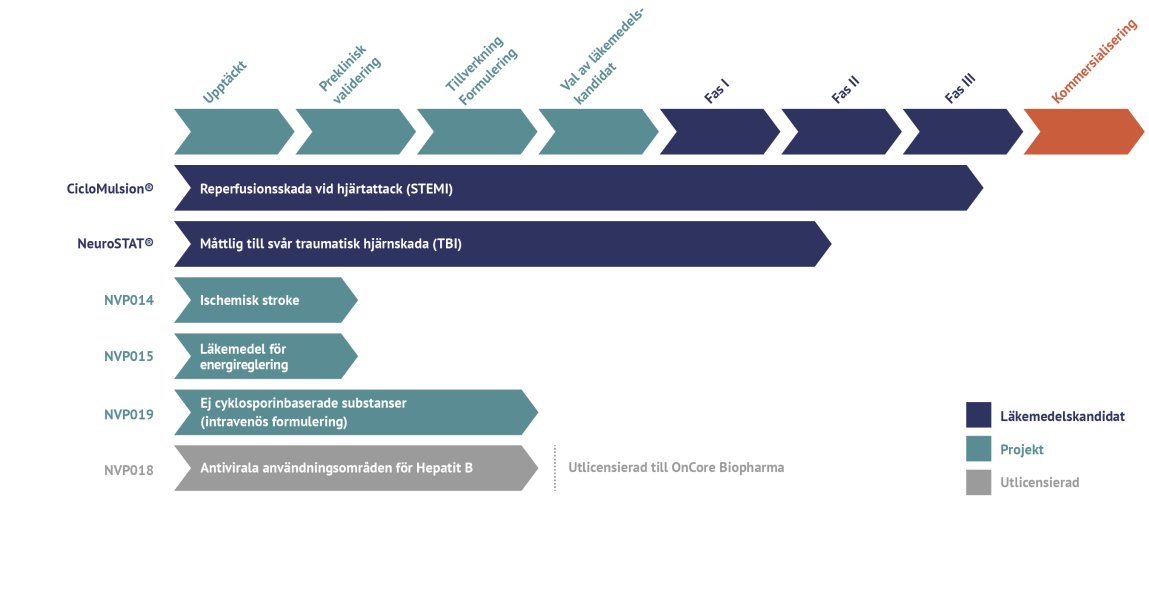 Projektöversikt Affärsmodell NeuroVive utvärderar olika typer av innovativa samarbetsformer med större läkemedelsbolag och/eller CCO-partners (Contract Commercial Organization) med syfte att etablera