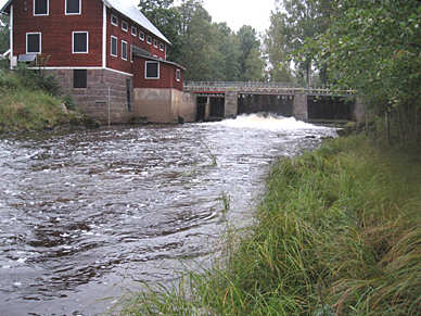 502b. Silverån, Hagelsrum Län: 8 Kalmar Beskuggning: saknas Koordinater: 6365370/1503430 Vattennivå: medel Datum: 2008-09-15 Vattenhastighet: fors Provtagningsmetodik: SS-EN 13946 Grumlighet: klart