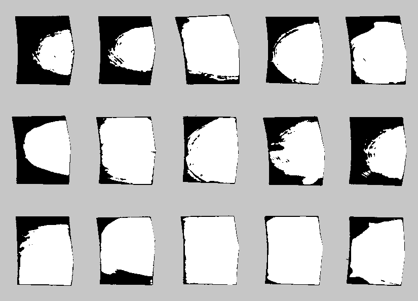 10 Figur 2: Provbit fotograferad i vanlig belysning samt med UV-fluorescensutrustningen, vilken ger en god kontrast mellan kärnved (ljus) och splintved (mörk).