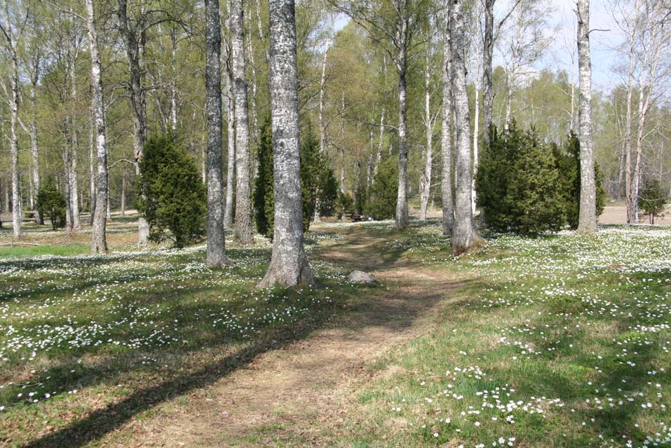 TILLÄGG TILL ÖVERSIKTSPLAN GRÖNSTRUKTUR HAMMARÖ KOMMUN, VÄRMLANDS LÄN