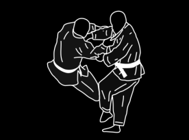Kampsport Ju jitsu (6-12 år) Hlm ju jitsu klubb Daruma Torsdag 23 februari kl.