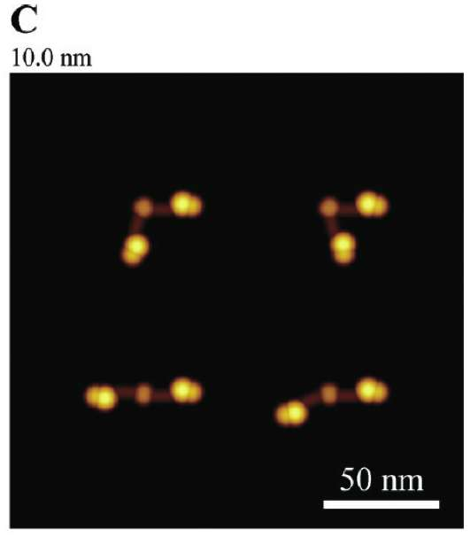 Visualisering av fibrinogen molekylen med 3 kristallografi/atomic Force Microscopy 3