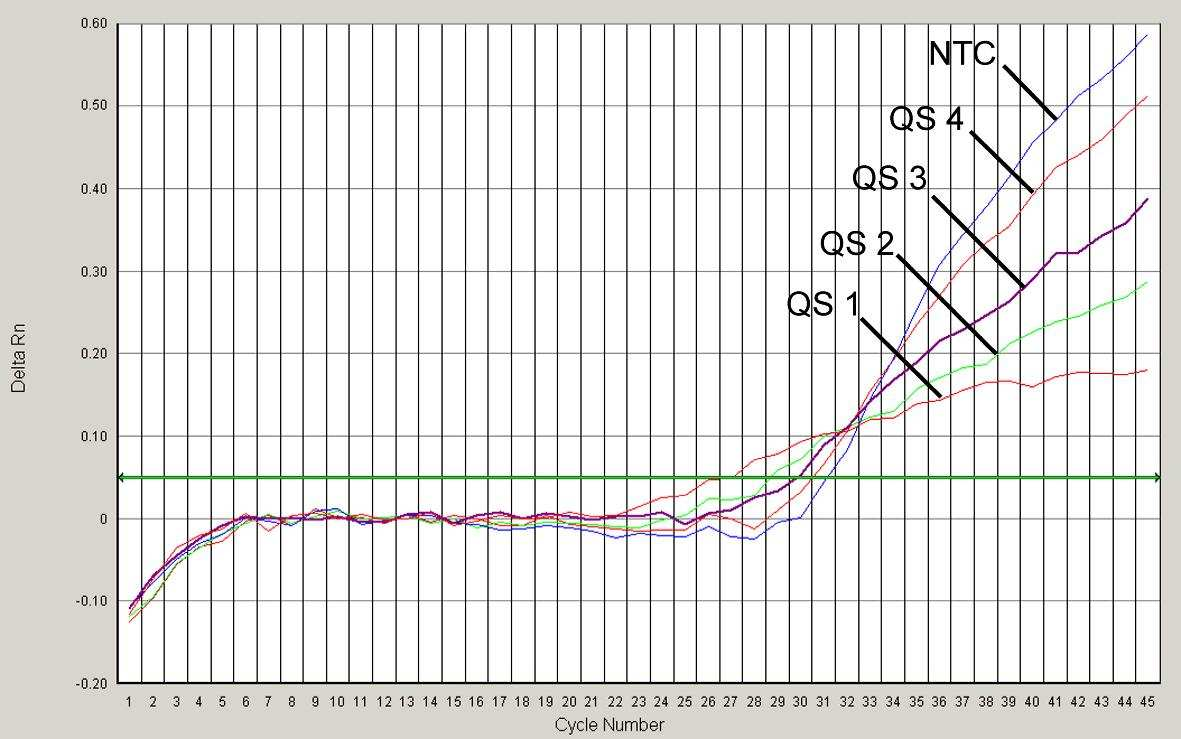 Fig. 23: Detektion av Kvantifieringsstandarderna (M. tuberculosis RG/TM QS 1-4) genom detektion av en FAMfluorescenssignal (ABI PRISM 7000 SDS). NTC: nontemplate control (negativ kontroll). Fig.