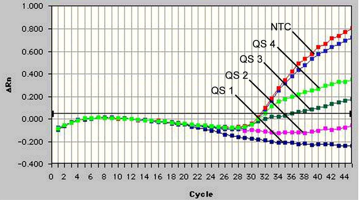 Fig. 25: Detektion av Kvantifieringsstandarderna (M. tuberculosis RG/TM QS 1-4) genom detektion av en FAMfluorescenssignal (ABI PRISM 7700 SDS). NTC: nontemplate control (negativ kontroll). Fig.