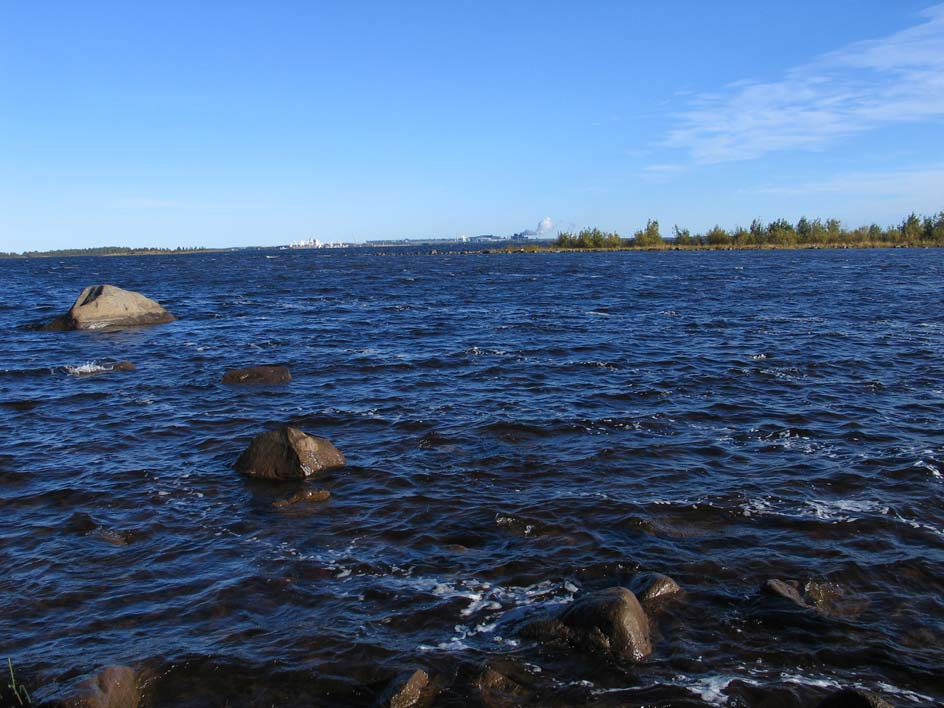 FÖRSLAG TILL METOD FÖR LOKAL/REGIONAL FISKHÄLSOÖVERVAKNING