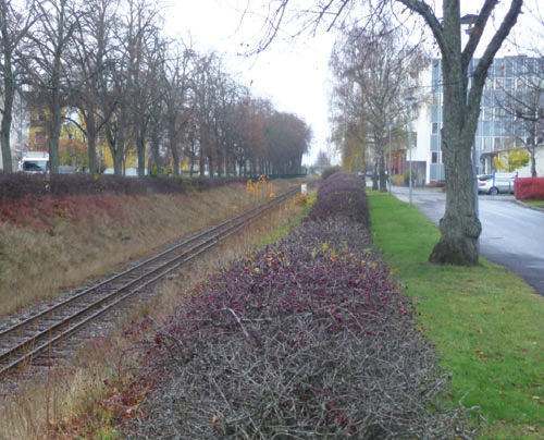 Förutsättningar Omgivning Lokalgatan Längs sjukhusfastighetens södra gränslinje ligger en lokalgata som leder bil- och cykeltrafik från entrésidan och vidare västerut till parkeringsytor och