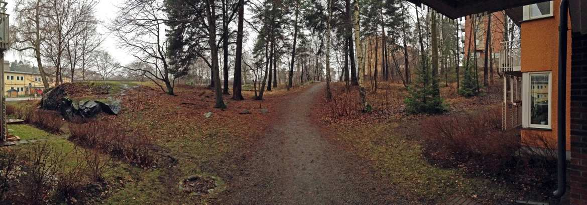 Sida 6 (11) Planområdet från norr, med gångstigen som leder genom skogsområdet.