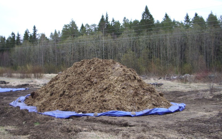 Gödselproverna från ströbäddar och stukor samt prover från avrinningsvatten har skickats till Eurofins för analys. Strax före utgödsling av box 4 ströad med rörflen.