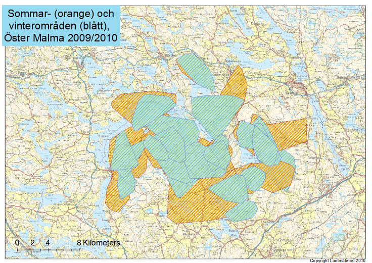 Genomsnittlig rörelseaktivitet [m hr-1], älgtjurar Öster Malma 22 20 250 18 Tid på dagen 16 14 12 10 8 6 4 2 200 150 100 50 0 Mars Apr Maj Juni Juli Aug Sept Okt Nov Dec Jan Feb Månad Figur 4.