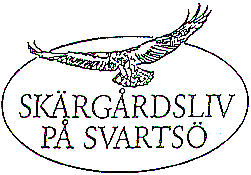 Samhällsbyggnadskontoret Planenheten Värmdö kommun 134 81 Gustavsberg Diarienummer 05KS/0109 Yttrande över Förslag till detaljplan för Självik 1:12 m.fl.