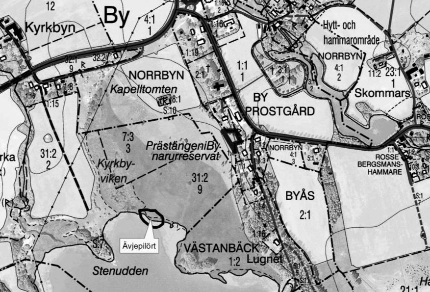 Glädjande nog påträffades en mindre förekomst av ävjepilört vid stranden till de vidsträckta, nyligen restaurerade betesmarkerna nedanför By kyrka.