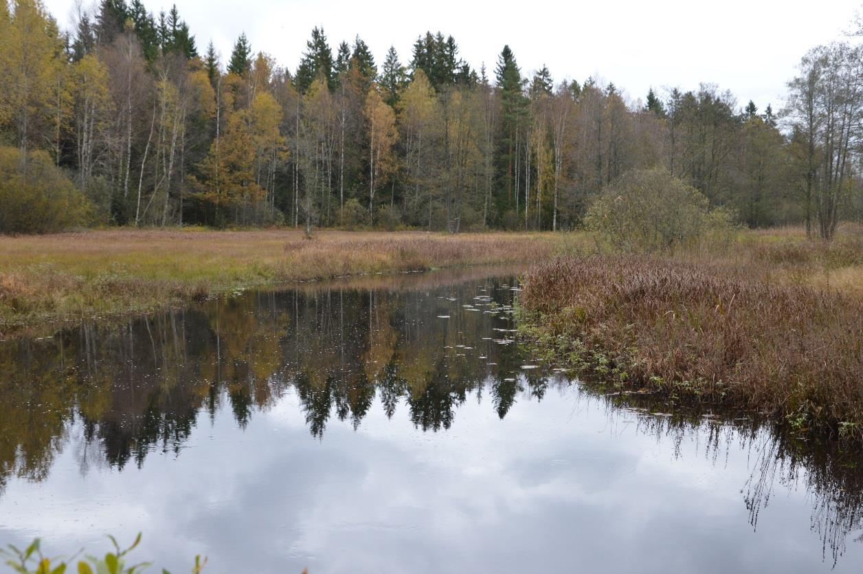 4. Resultat En översiktskarta över den aktuella vattendragssträckan presenteras i karta 1.