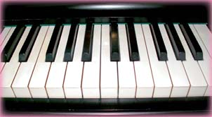 Hon har studerat musik i två år vid Geijerskolan i Ransäter och påbörjat ämneslärarutbildning vid Lunds universitet en utbildning där hon nu gör ett uppehåll för att arbeta hos oss i Kropps