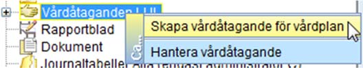 välj Skapa vårdåtagande för vårdplan Välj VP SVF