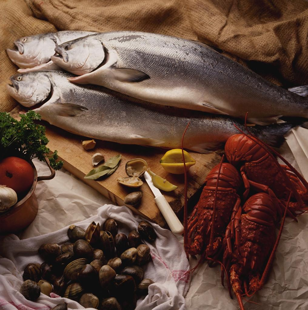 MILJÖFÖRVALTNINGEN Fisken i fokus Ett projekt om fisk, skaldjur och blötdjur i butik 2011 En