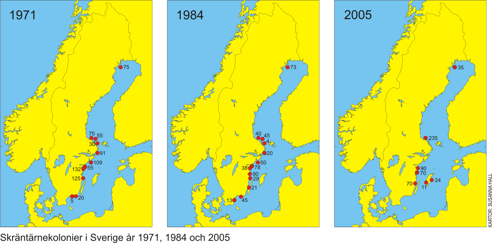 Utveckling av skräntärnapopulationen i Sverige under 40år