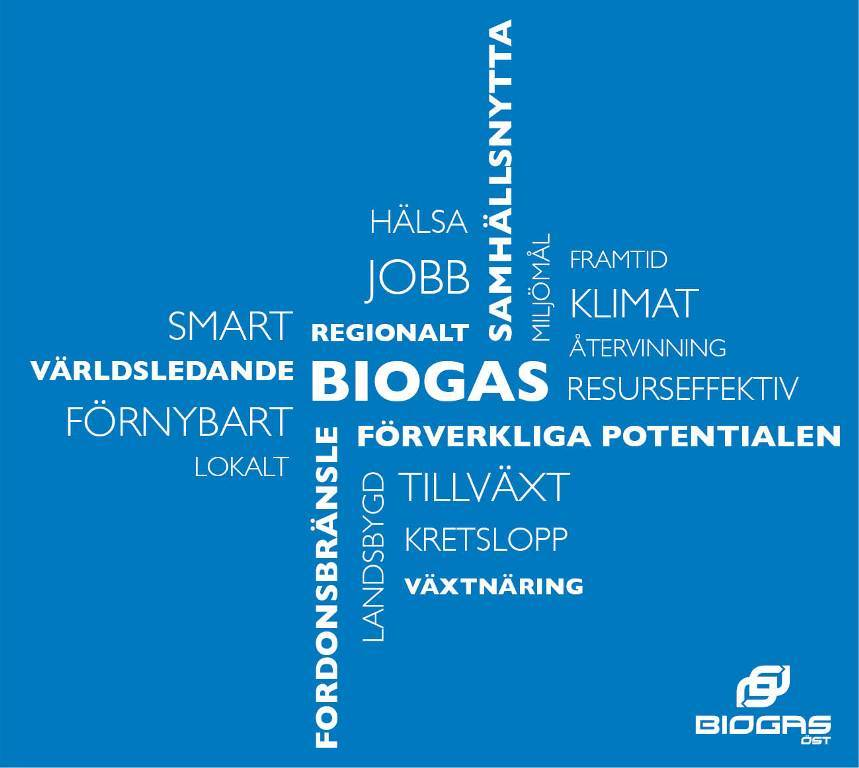 BiogasÖstsVision Ändamål BiogasÖstssyfteärattfrämjabiogasensutvecklingihelaregionenochbidratillattberördamiljöRoch klimatmåluppnås.